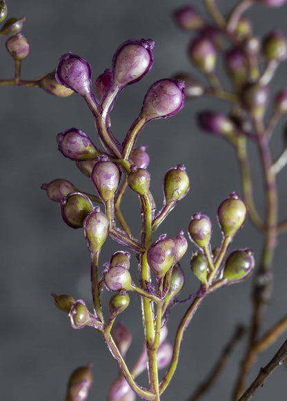 Abigail Ahern Purple Artificial Berry Branch - 43.25"