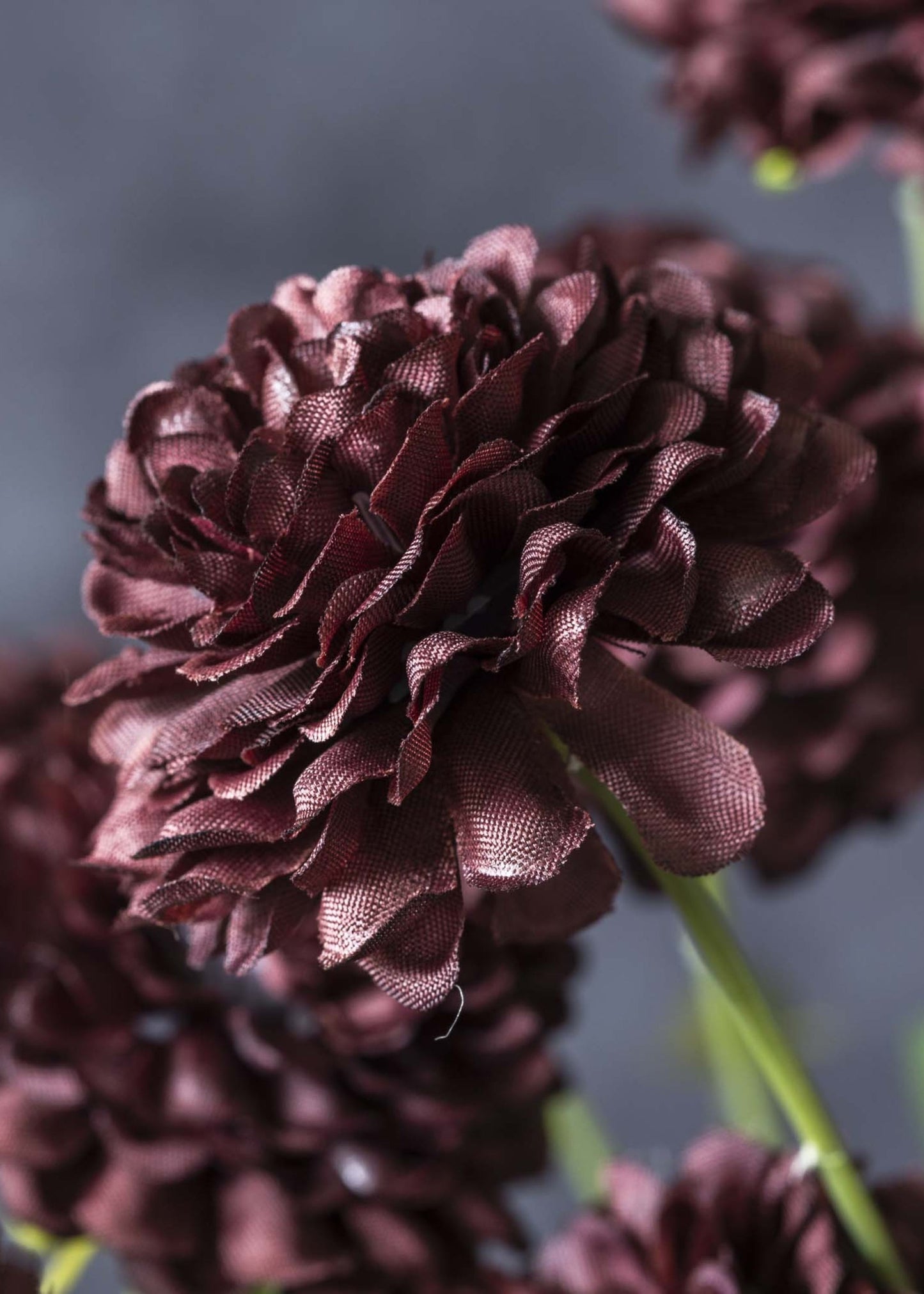 Abigail Ahern Artificial Clove Wildflower Stem in Deep Purple - 29.5"