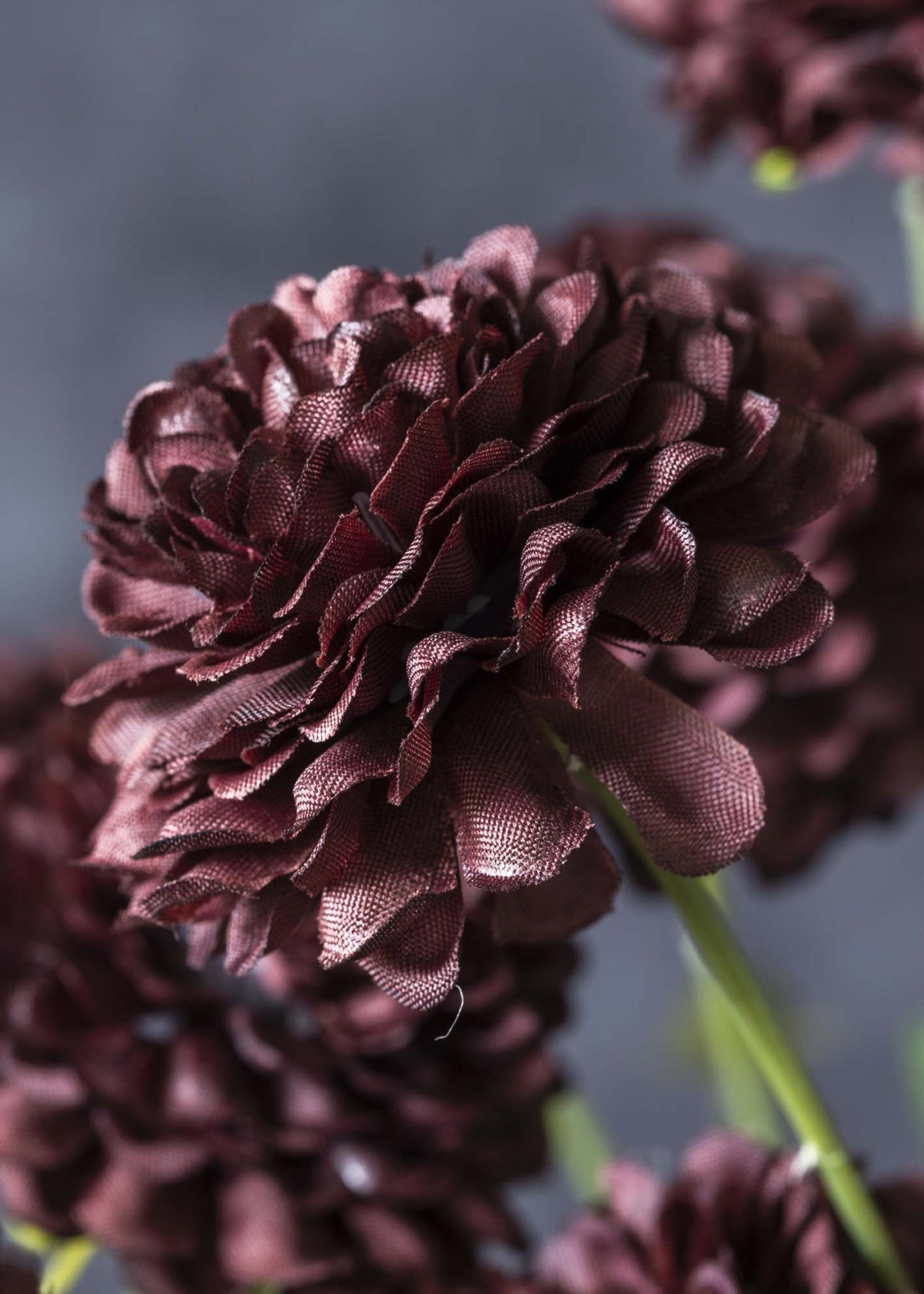 Abigail Ahern Artificial Clove Wildflower Stem in Deep Purple - 29.5"