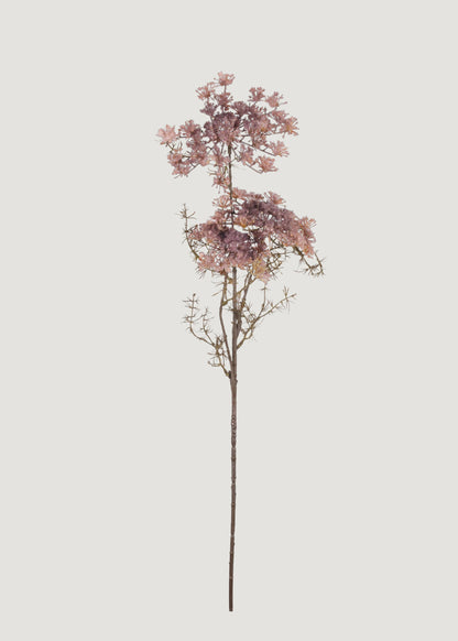 Abigail Ahern Blush Artificial Queen Anne's Lace Branch - 31"