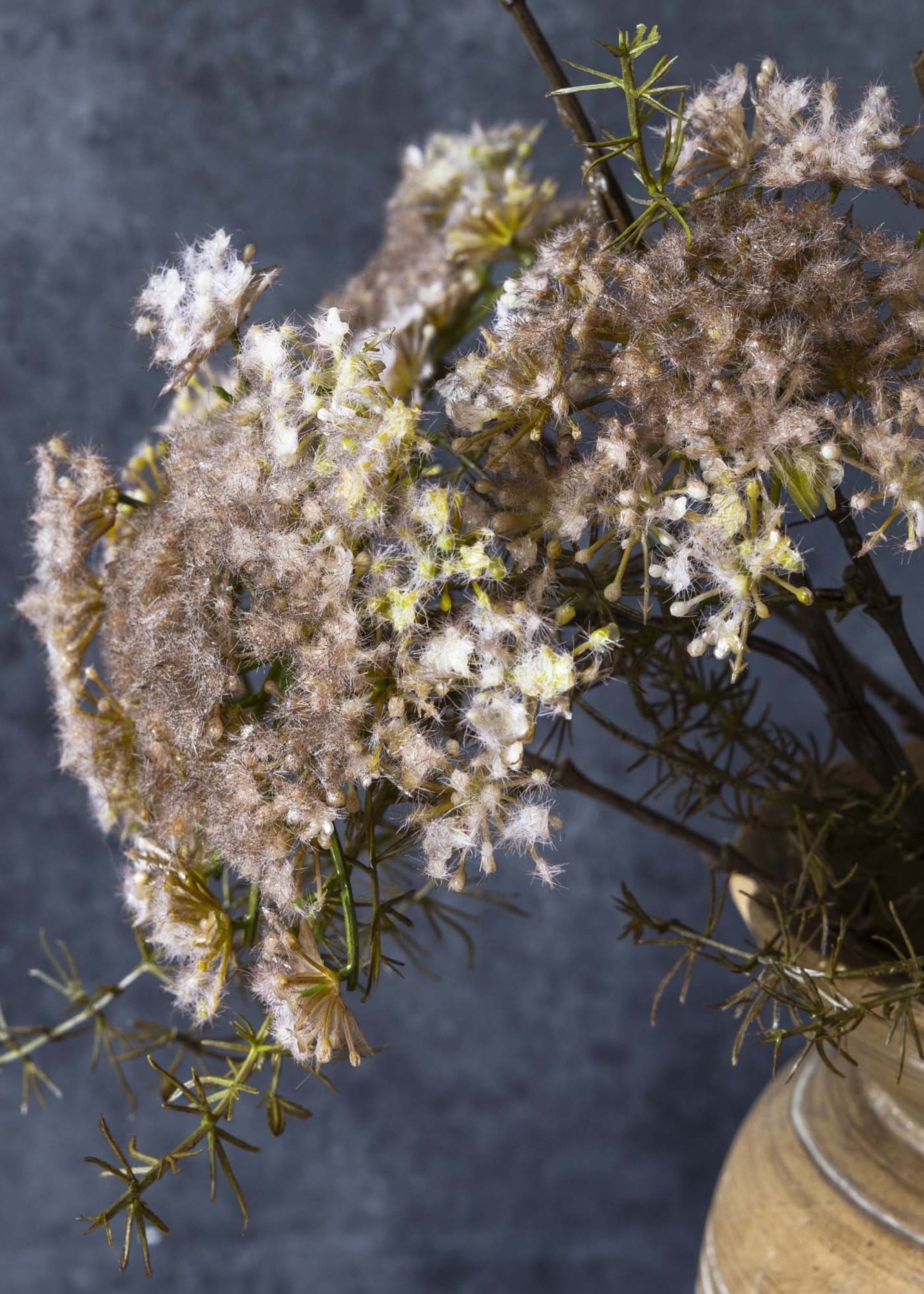 Abigail Ahern Blush Artificial Queen Anne's Lace Branch - 31"