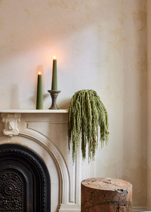 Green Preserved Hanging Amaranthus Flowers - 32-40"
