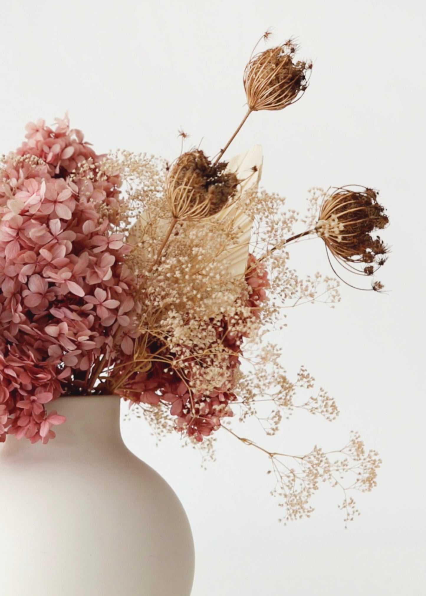 Natural Dried Queen Anne's Lace Flowers - 3.5 oz Bunch