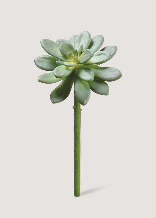 Fake Succulents Echeveria Pick - 10"