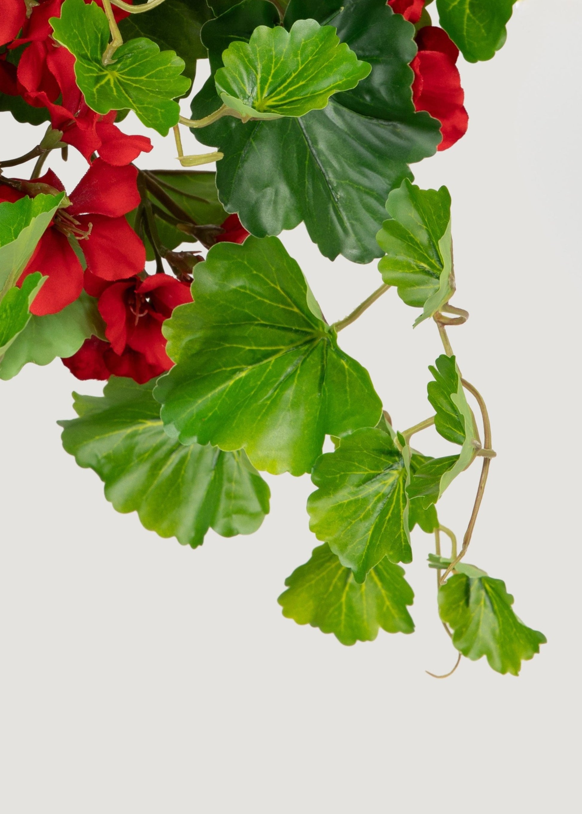 UV Treated Indoor/Outdoor Fake Geranium Hanging Bush - 24"