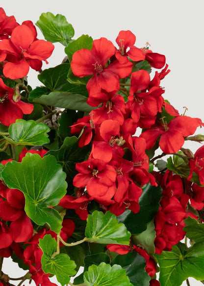 UV Treated Indoor/Outdoor Fake Geranium Hanging Bush - 24"