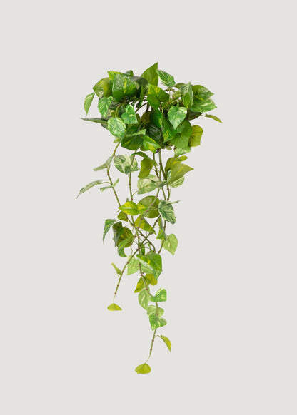 Natural Touch Variegated Pothos - Fake Hanging Plant - 27"