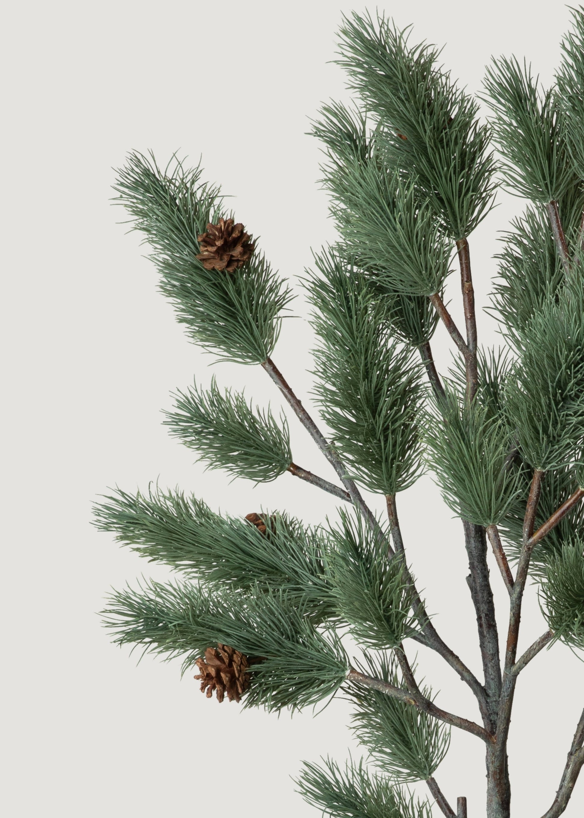 Oversized Deluxe Blue Spruce Pine Branch - 51"