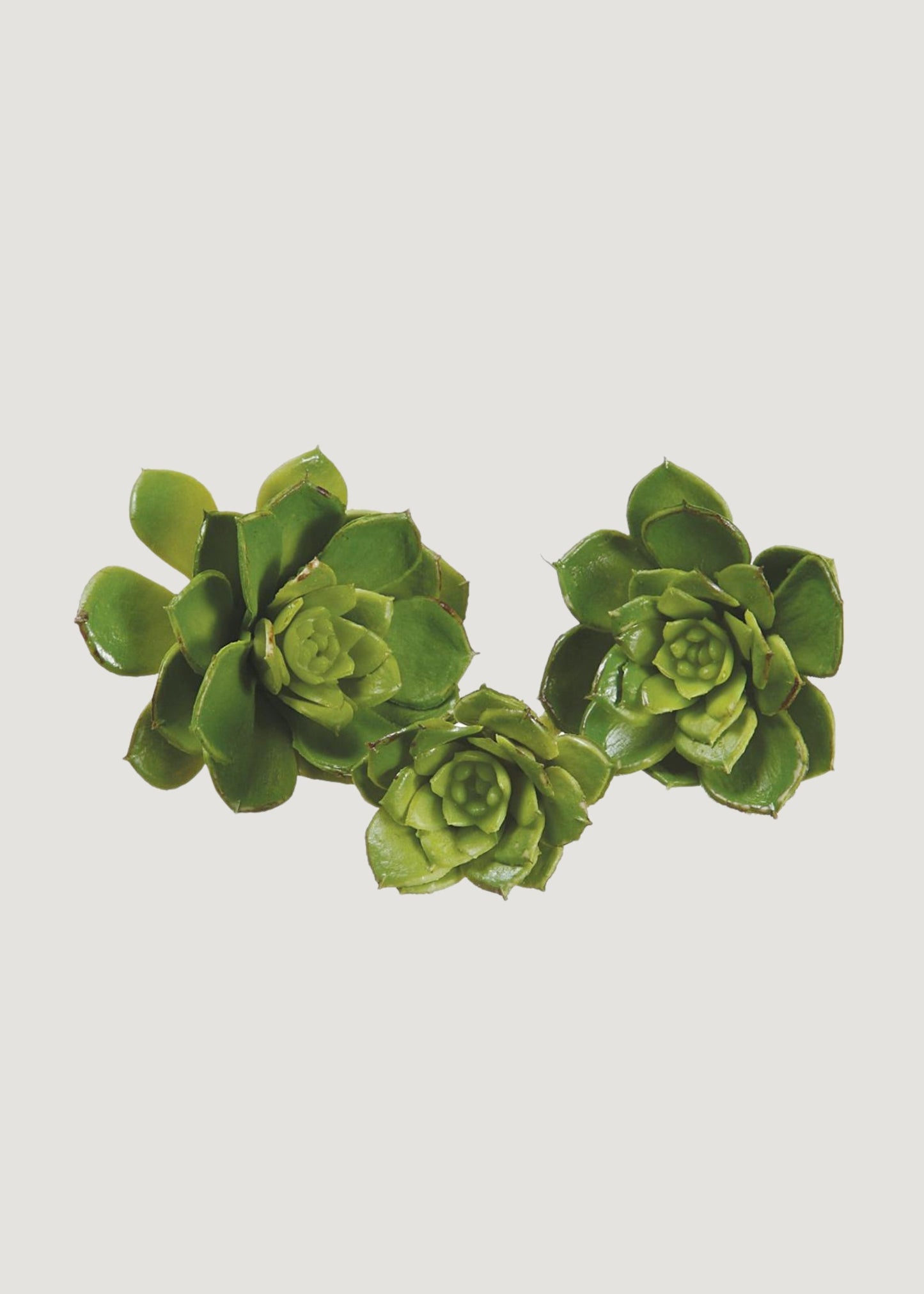 Pack of 3 Fake Echeveria Mini Succulents - 2-3.5" Wide
