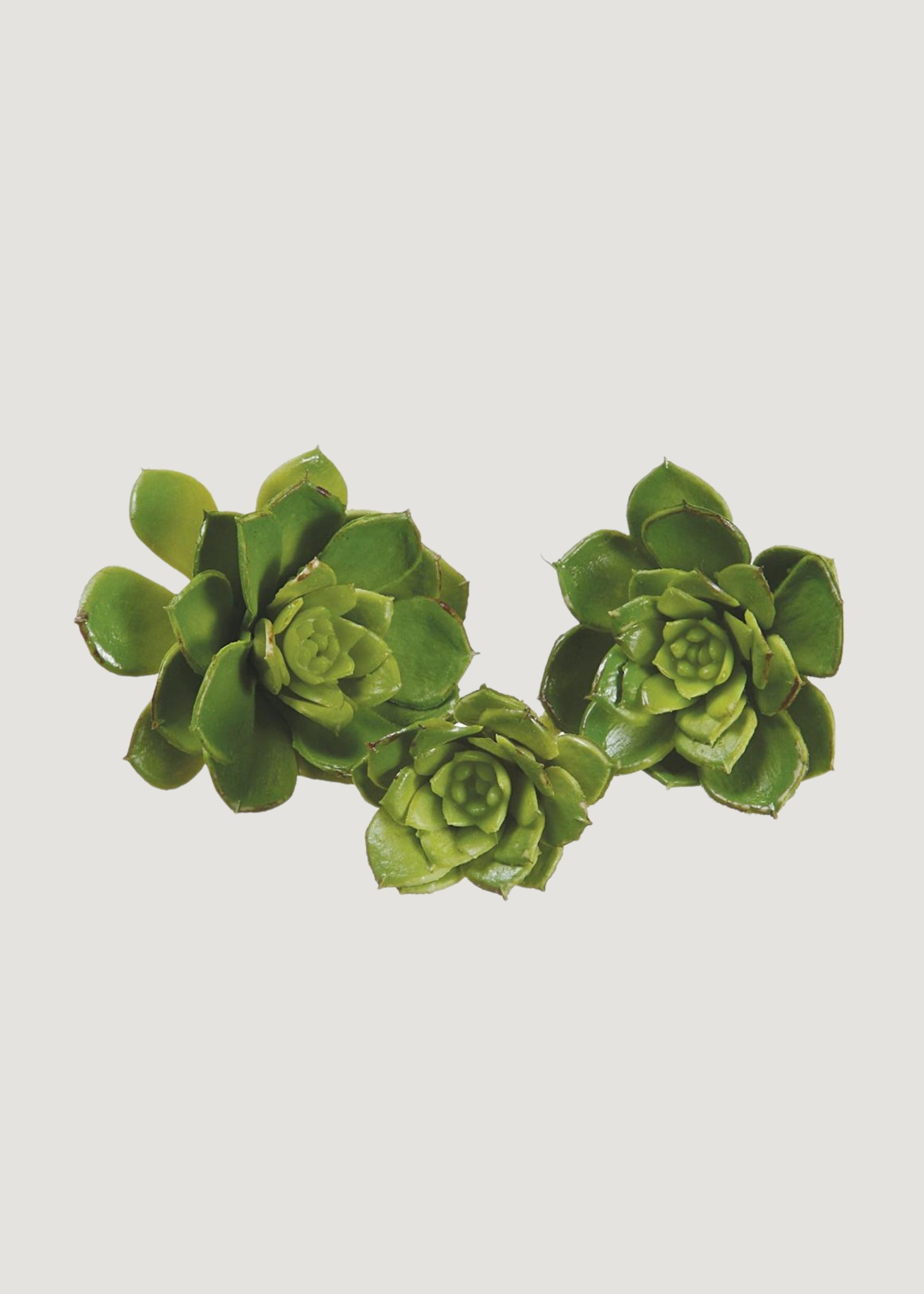 Pack of 3 Fake Echeveria Mini Succulents - 2-3.5" Wide