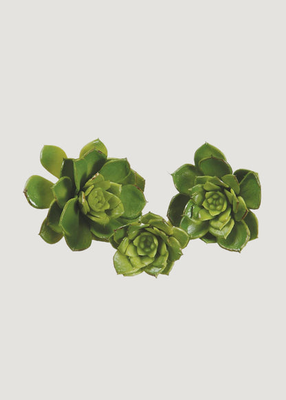 Pack of 3 Fake Echeveria Mini Succulents - 2-3.5" Wide