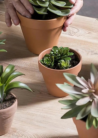 Pack of 3 Fake Echeveria Mini Succulents - 2-3.5" Wide