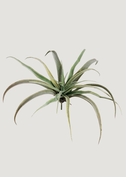 Large Fake Tillandsia Succulent Air Plant - 9"