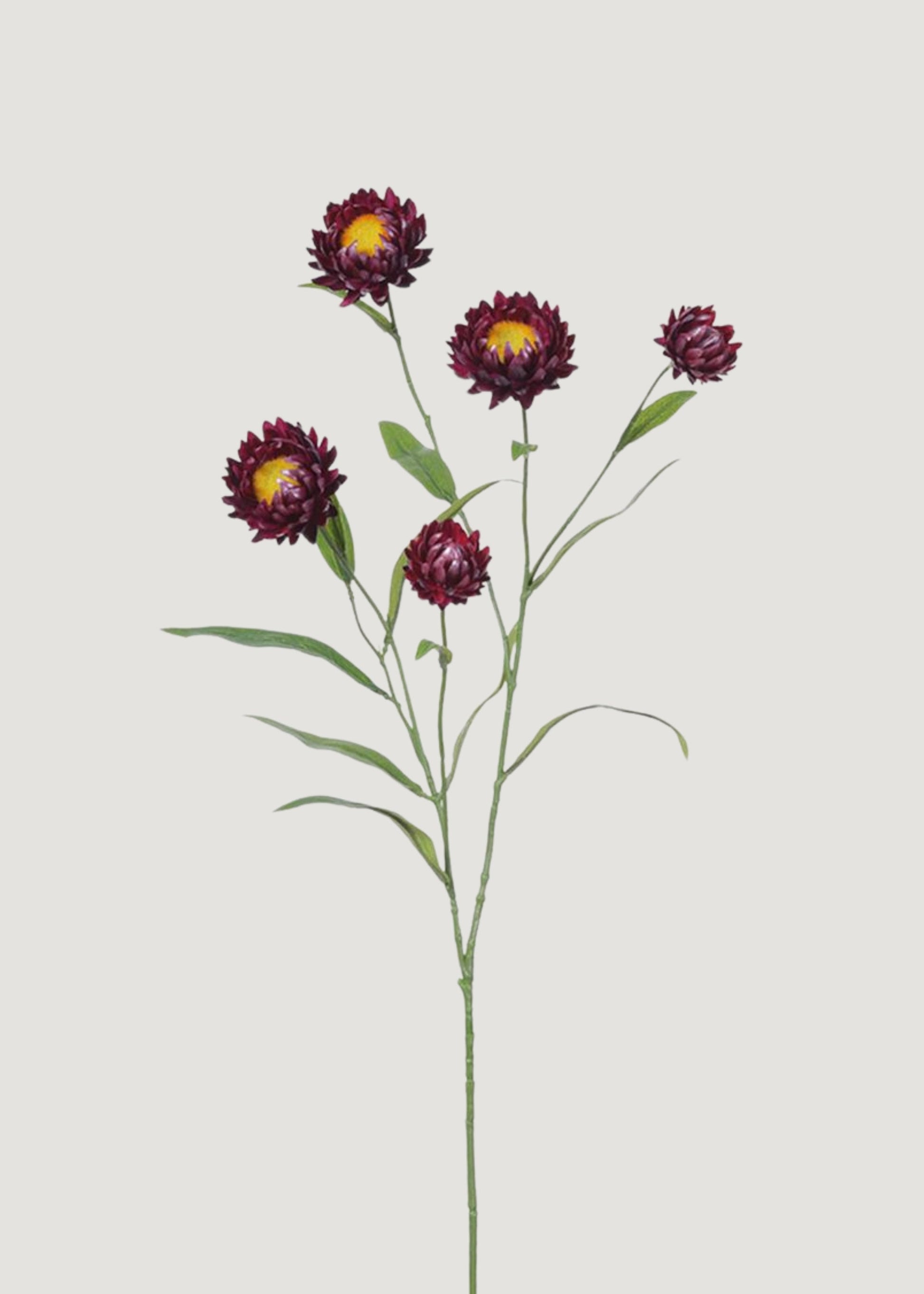 Purple Wine Fake Wildflowers Strawflower Spray - 27"