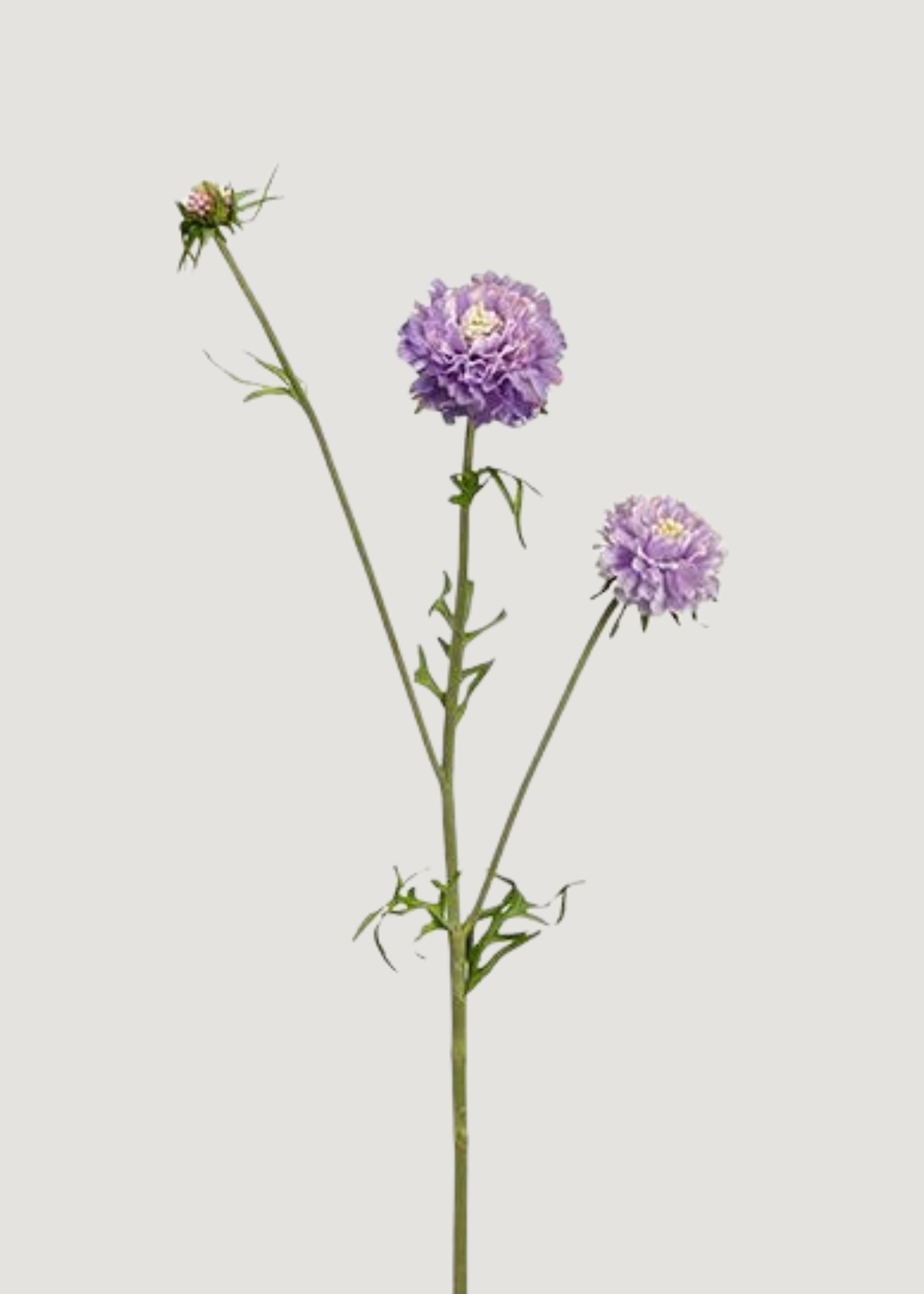 Lavender Artificial Scabiosa Wildflowers - 27.5"