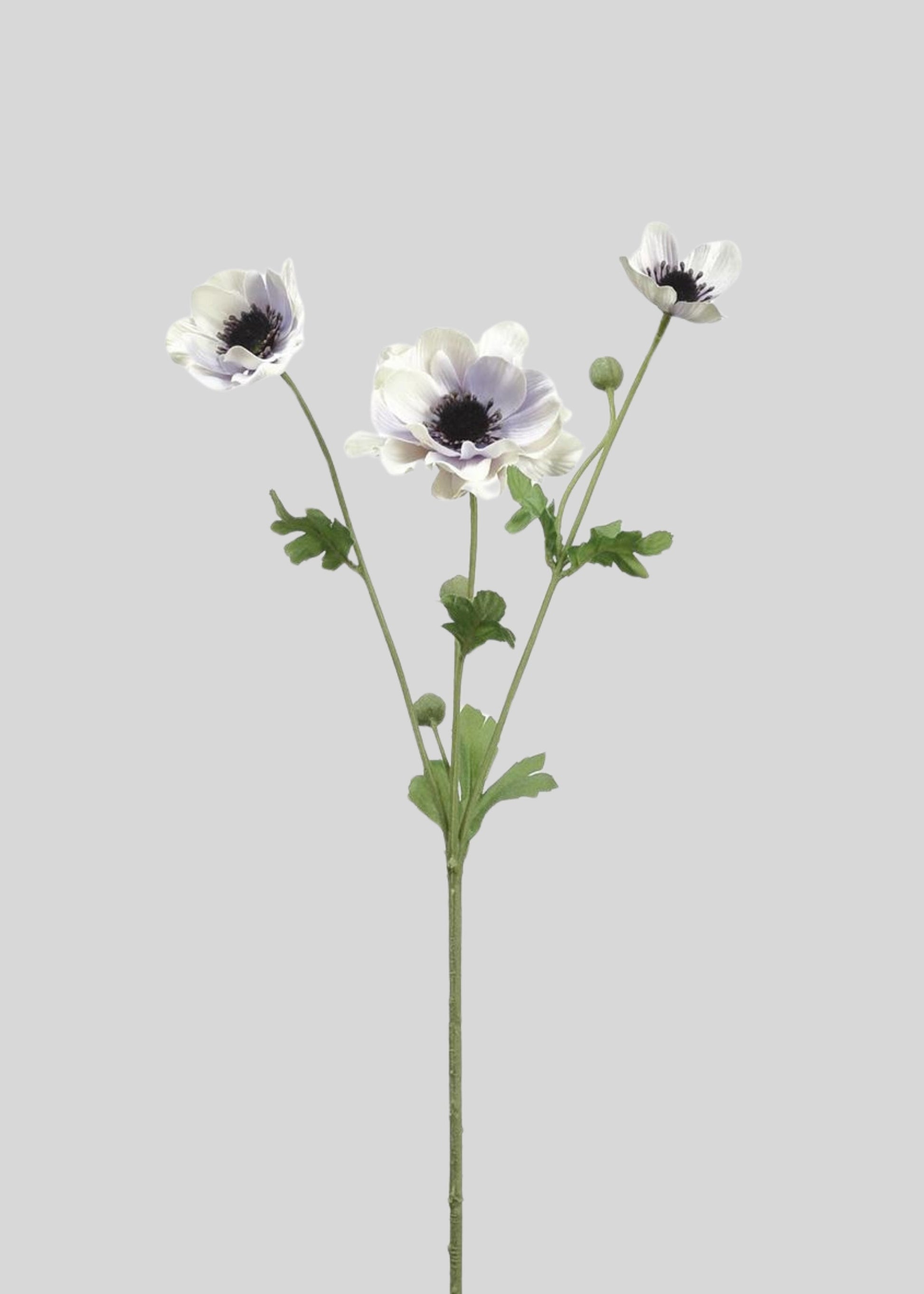 Artificial Anemone Flowers in Lavender Cream - 26"