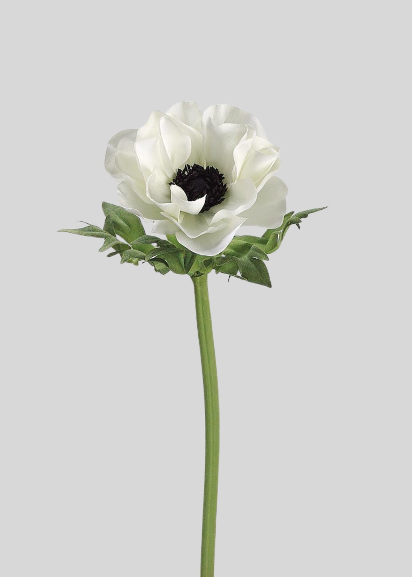 Artificial Blooming Flowers Cream Anemone - 17"