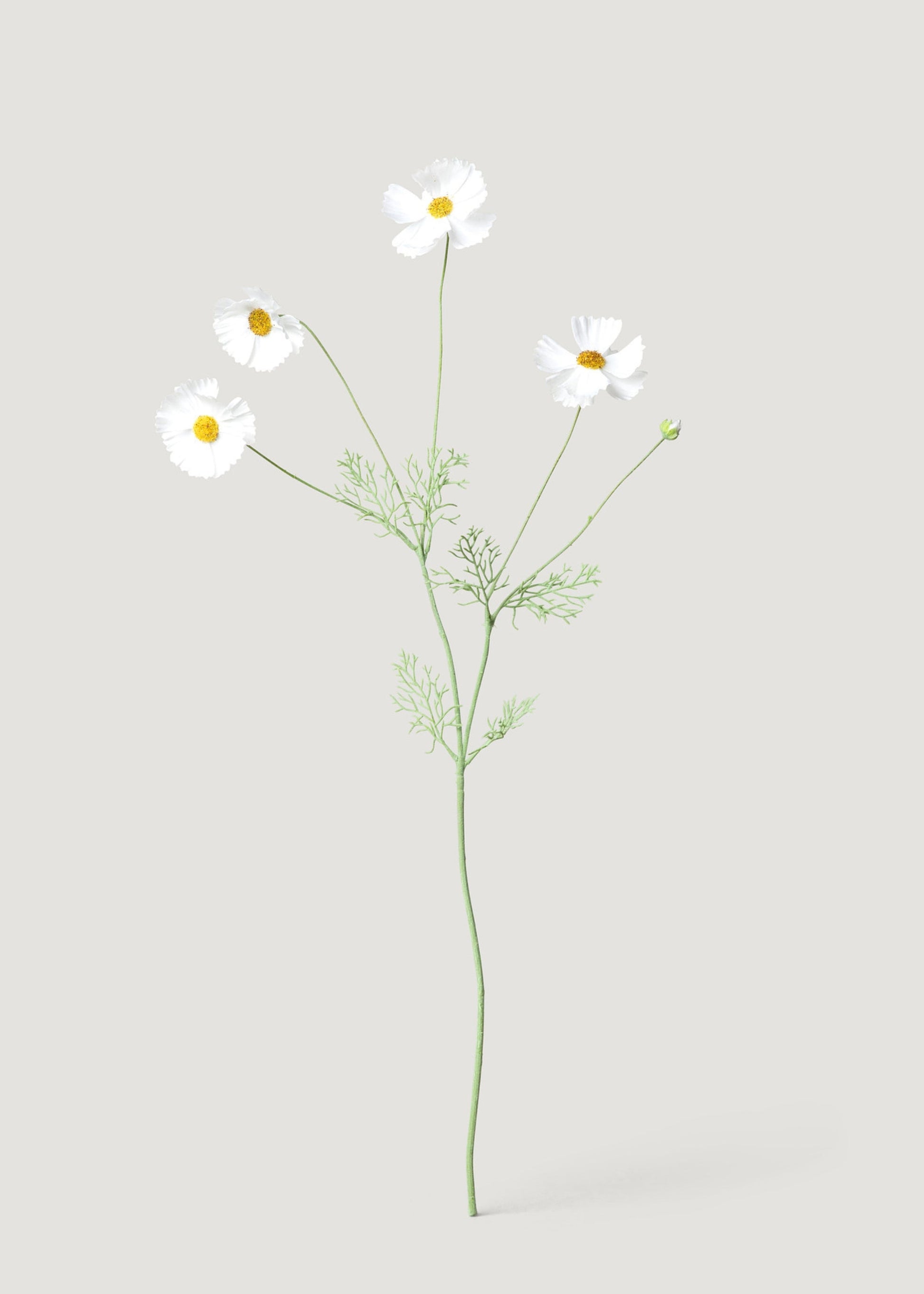 Fake Cosmos Daisy Wildflowers in White - 36.25"