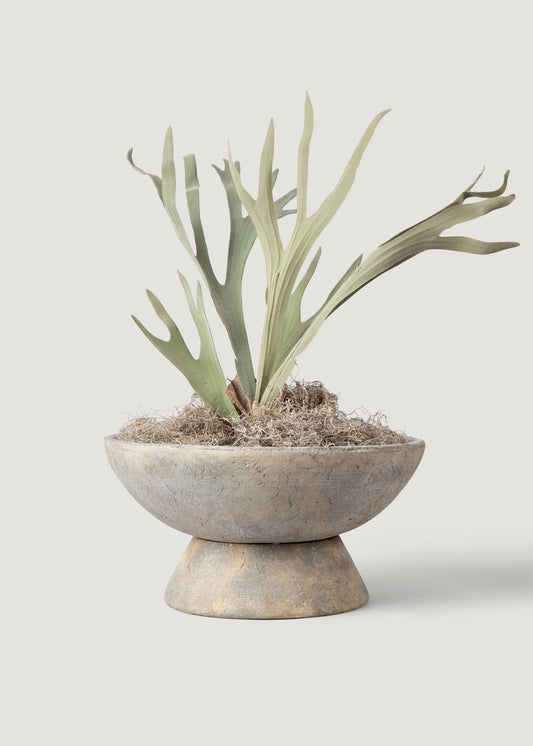 Fake Staghorn Plant - 24.5"