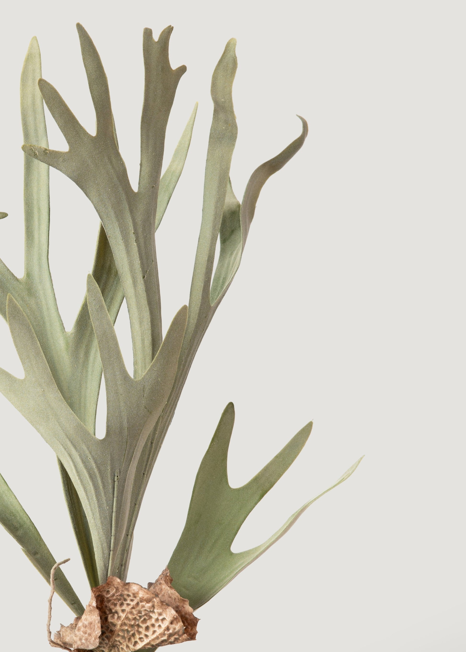 Fake Staghorn Plant - 24.5"