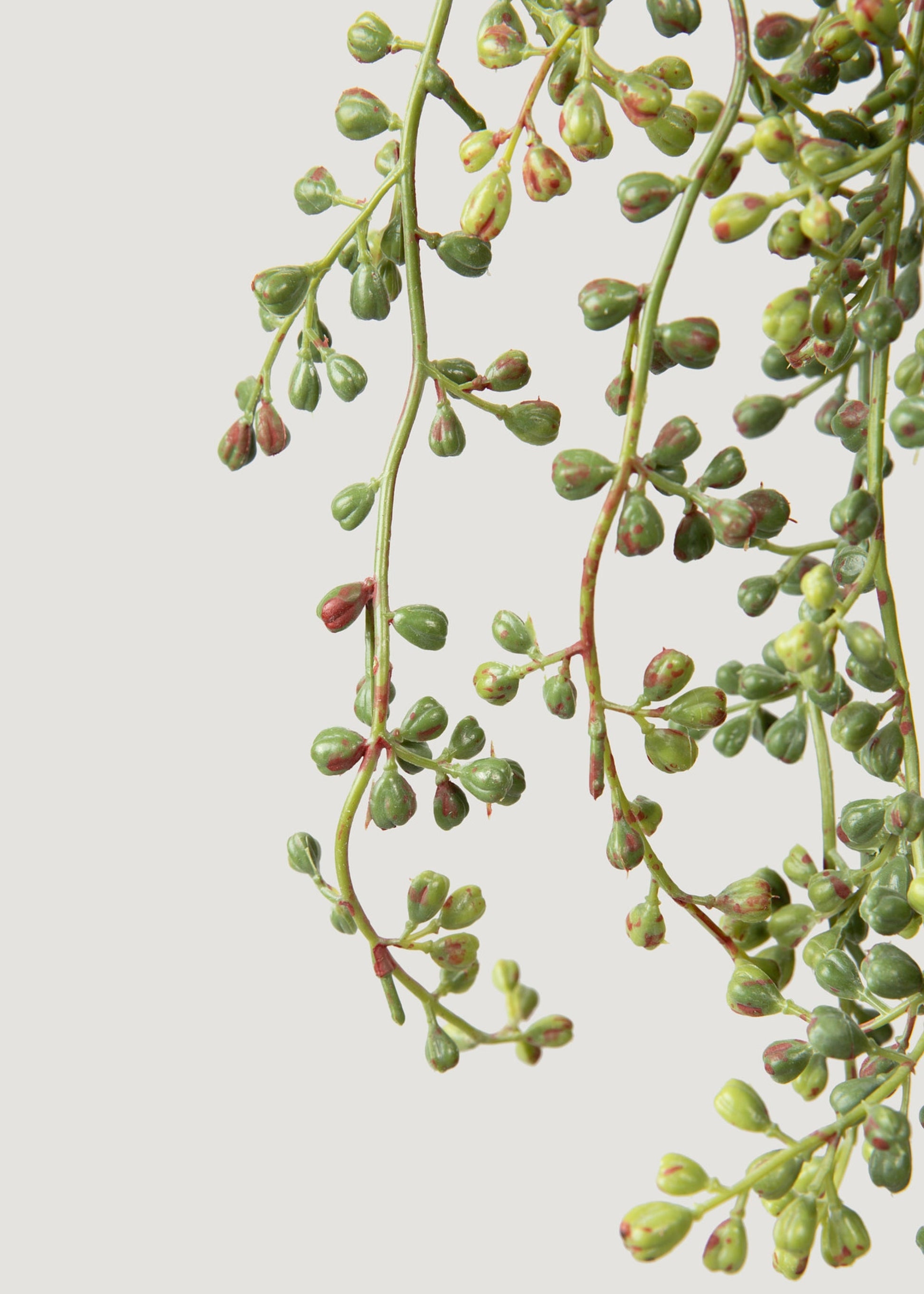 Hanging String of Pearls Fake Succulent Bush - 24"