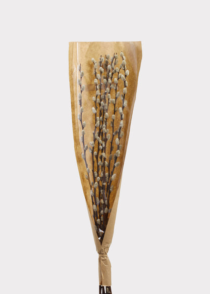 Natural Dried Pussy Willow Branch Bundle - 29.5"