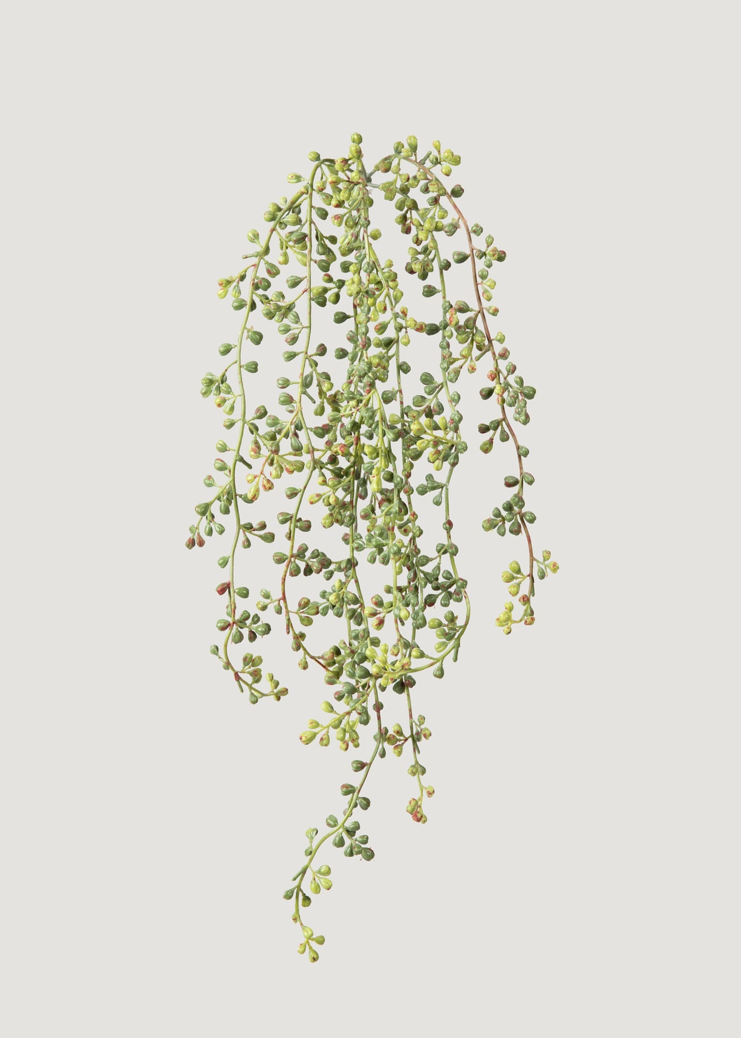 Hanging String of Pearls Fake Succulent Bush - 24"