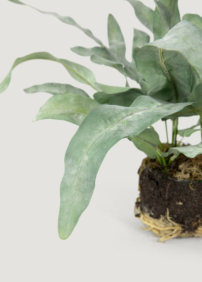 Artificial Echeveria Fern Drop-In Plant - 8.5"