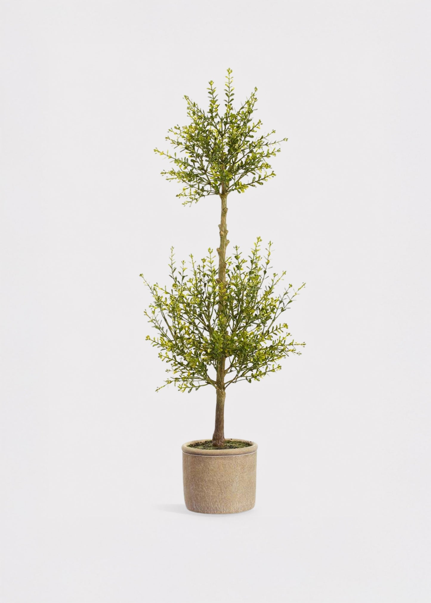 Artificial Myrtle Leaf Topiary Plant in Cement Pot - 32"