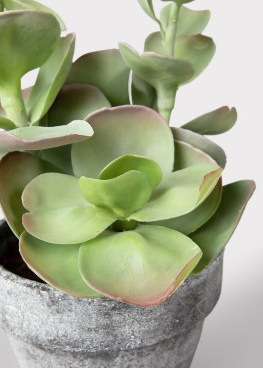 Fake Potted Artificial Succulent Plant  - 16.5"