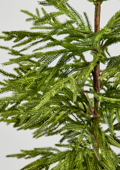 Afloral™ Artificial Norfolk Pine Tree - 36"