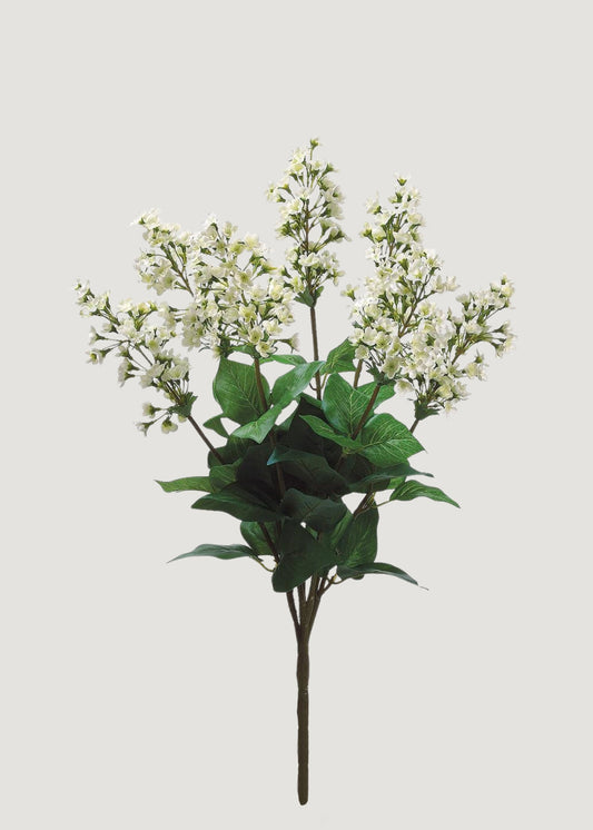 Artificial Bouvardia Flower Bush in Cream - 23"