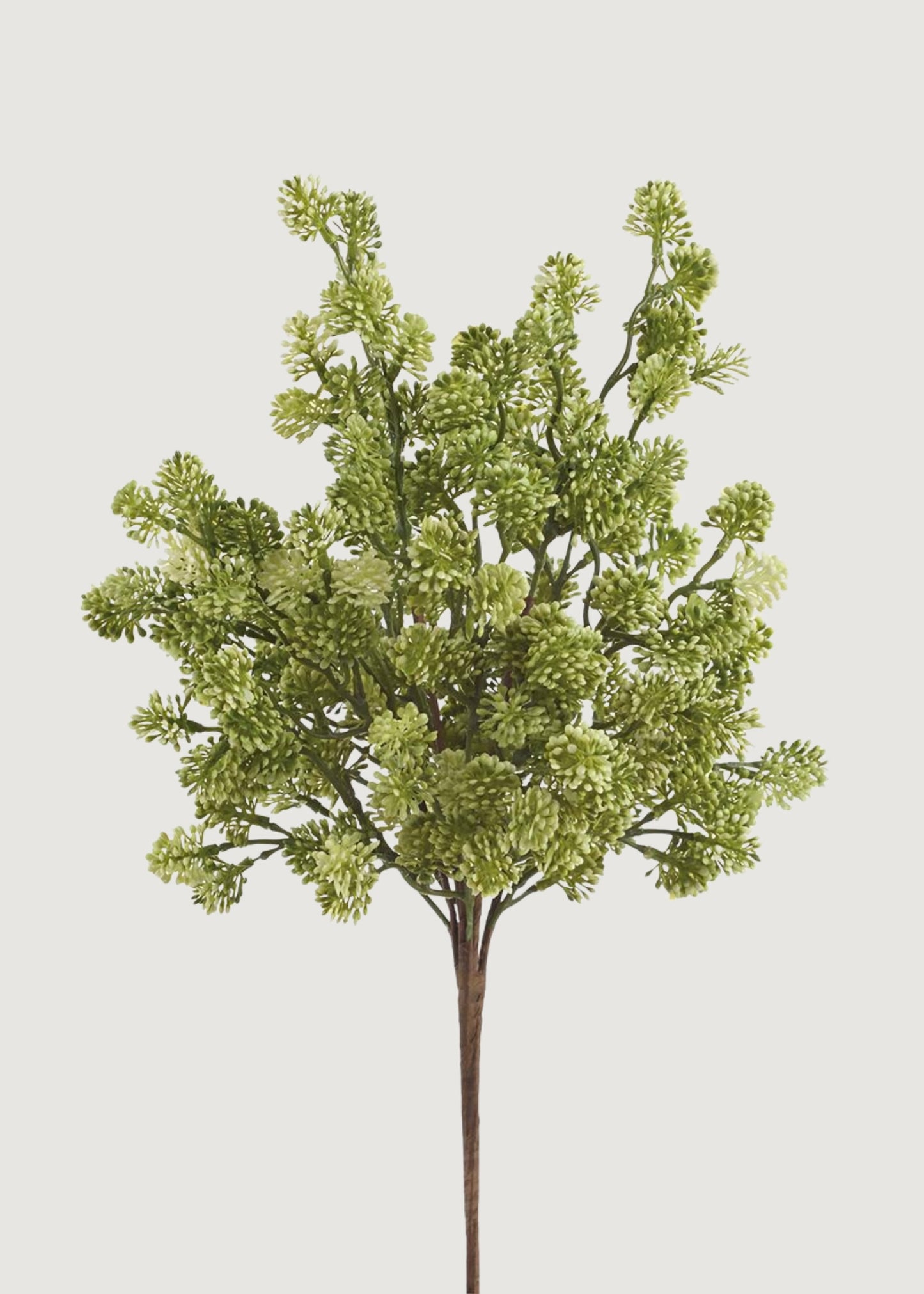 Artificial Sedum Succulent Bush in Green Cream - 19"