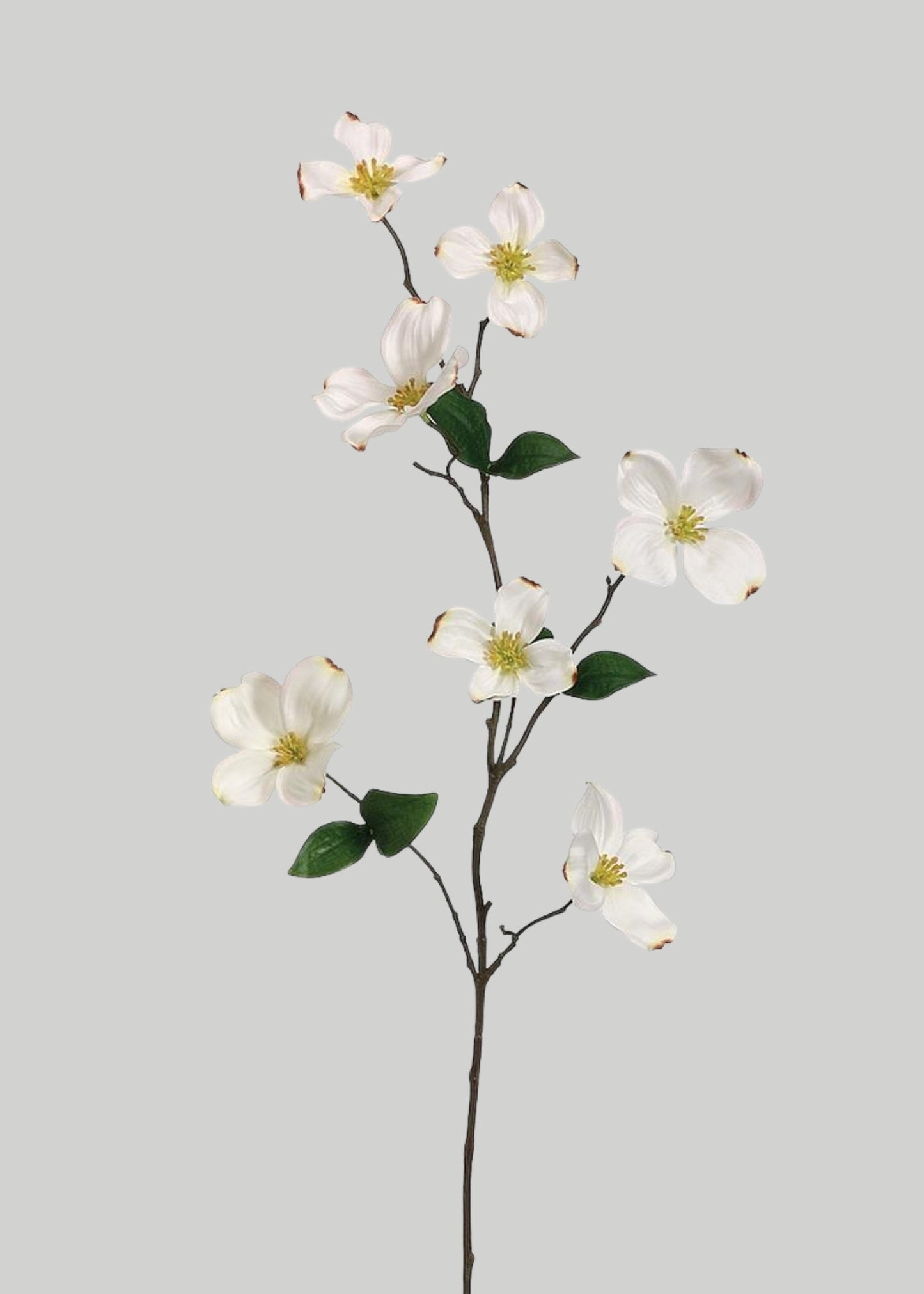 Cream Fake Dogwood Spring Flower Branch - 29"
