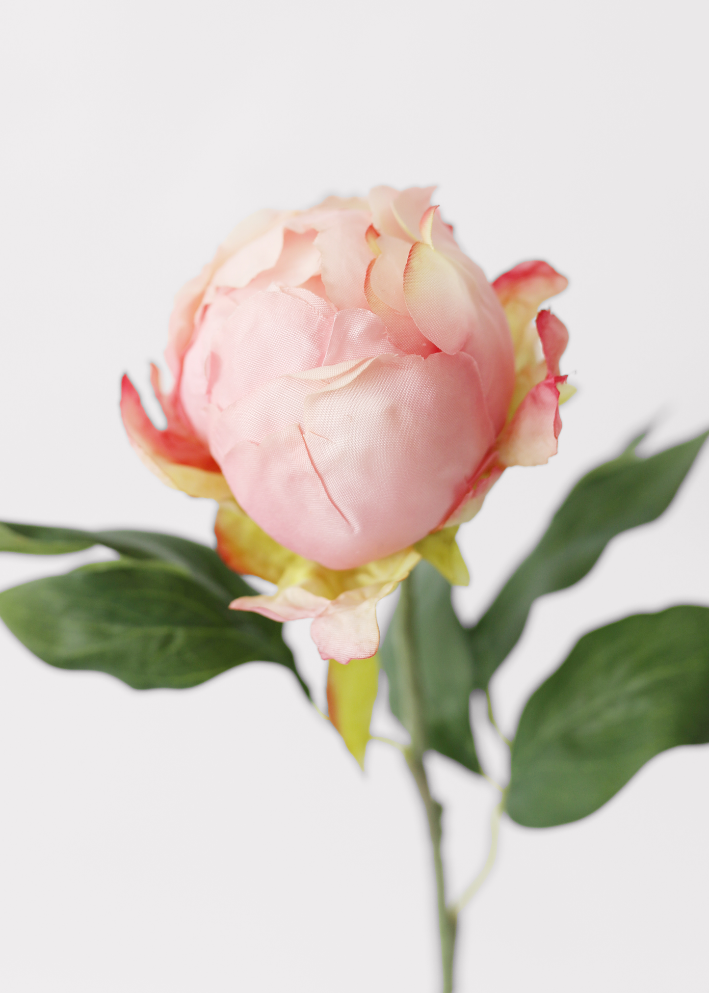 Pink Artificial Flower Peony Bud - 18"
