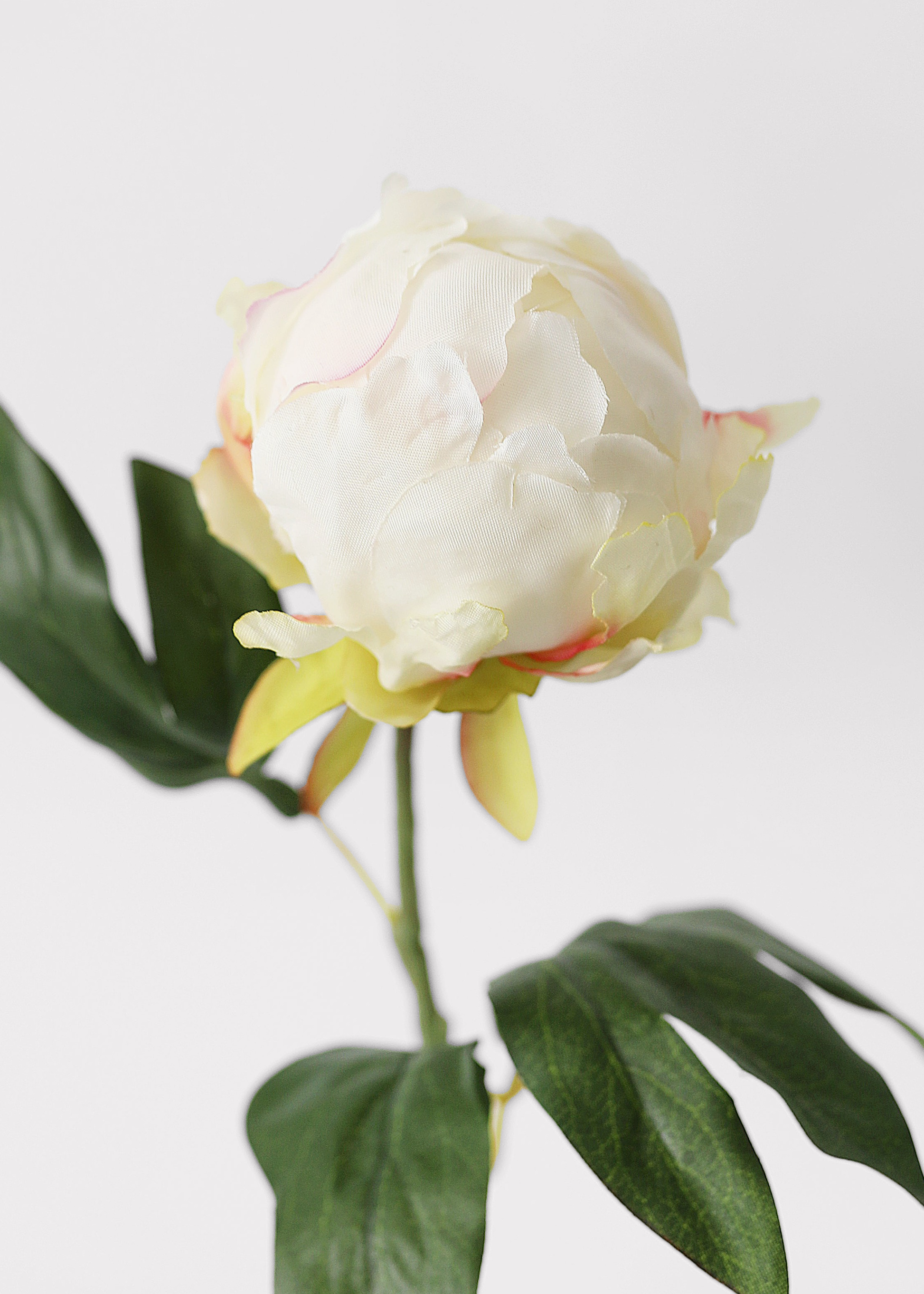 Artificial Flower Peony Bud in Cream - 18"