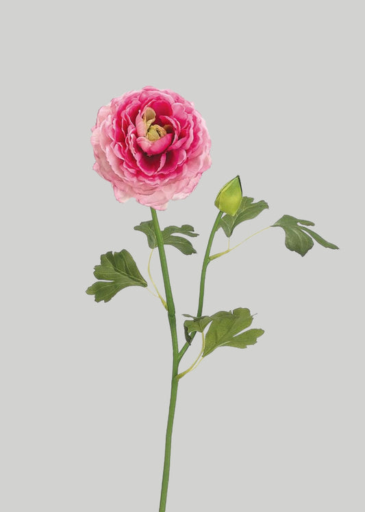 Artificial Ranunculus Flower in Cerise Pink - 19"