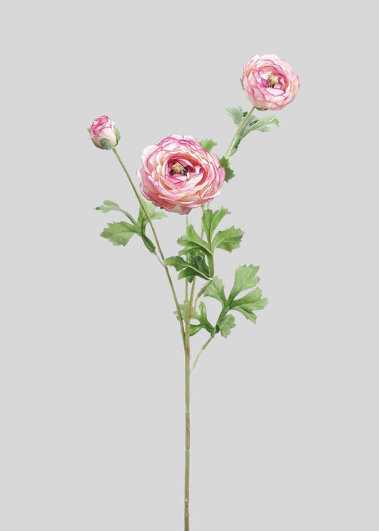 Pink and Cream Fake Ranunculus Flowers - 25.5"