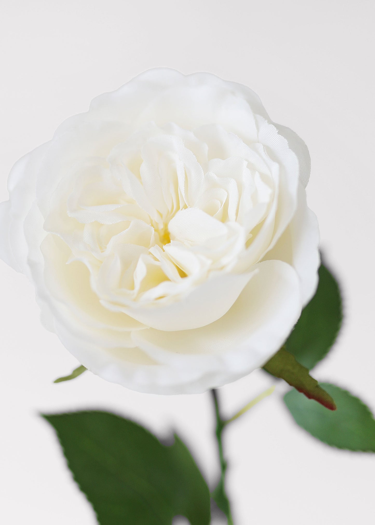 White Fake English Cabbage Rose - 20.5"