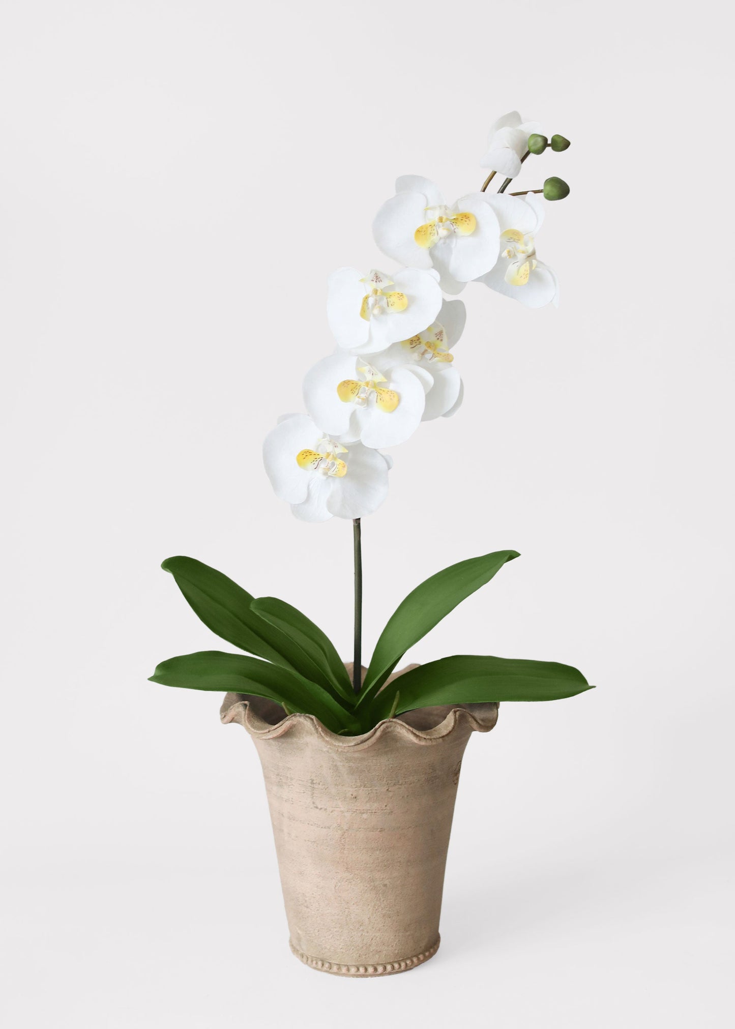 Artificial Phalaenopsis Orchid Leaf Plant - 15"