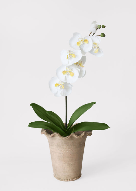 Artificial Phalaenopsis Orchid Leaf Plant - 15"