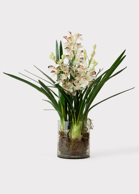 Cymbidium Orchid Potted Fake Plant in Glass Vase - 36"