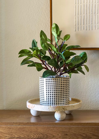 Deluxe Artificial Peperomia Leaf Branch - 36.25"