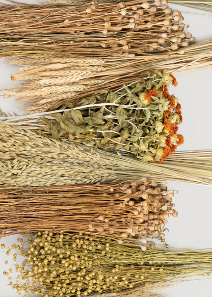 Case of 10 - Assorted Bundles of Dried Grains and Grasses