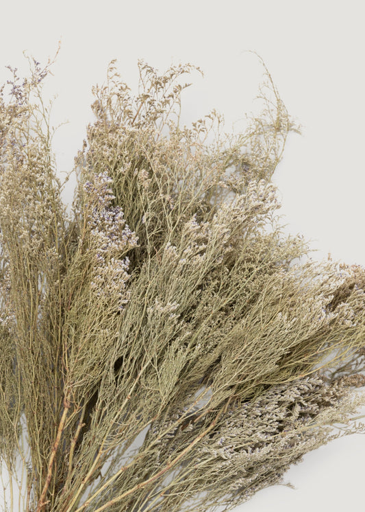Natural White Dried Caspia Flowers - 4 oz Bunch