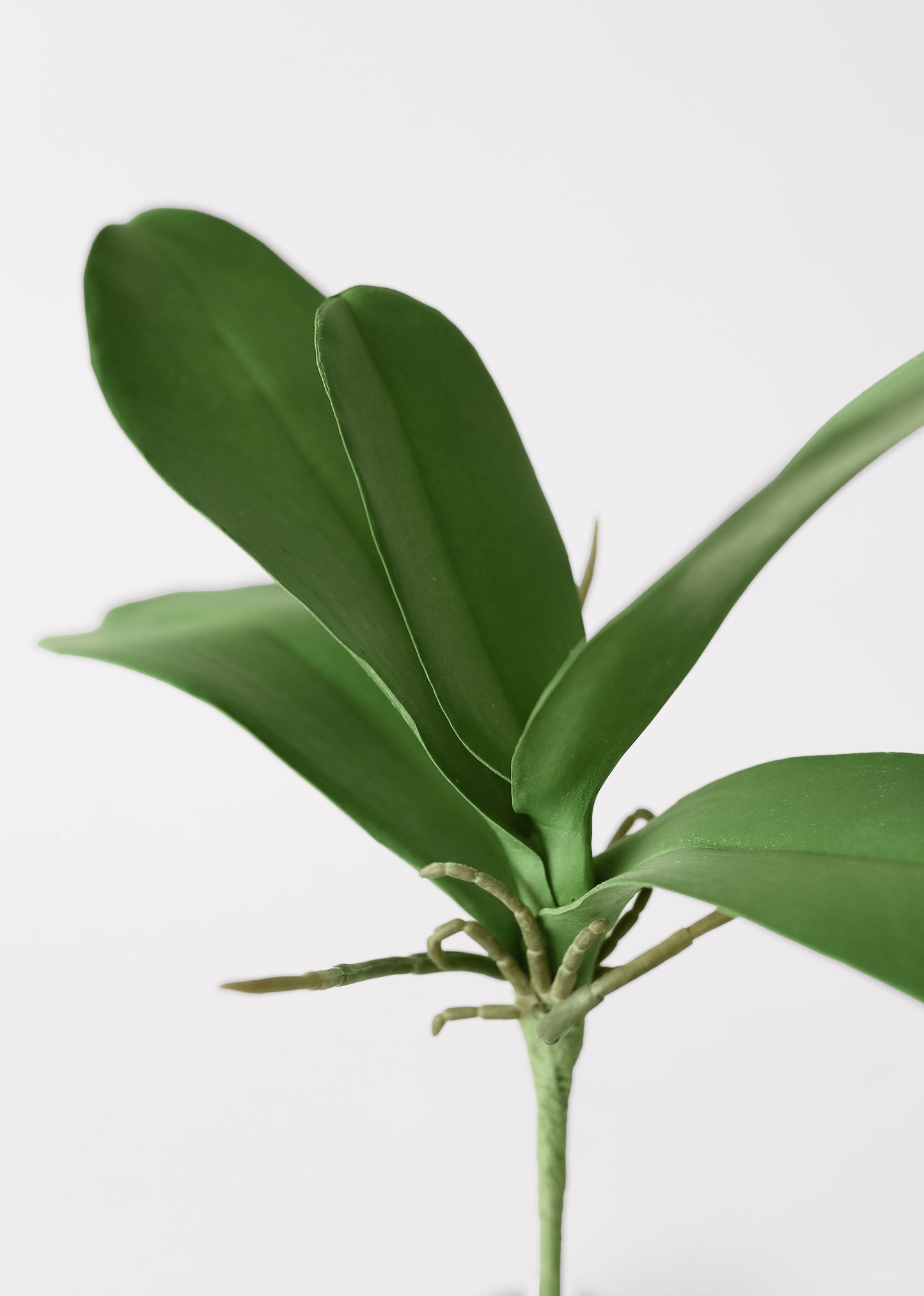 Artificial Phalaenopsis Orchid Leaf Plant - 15"