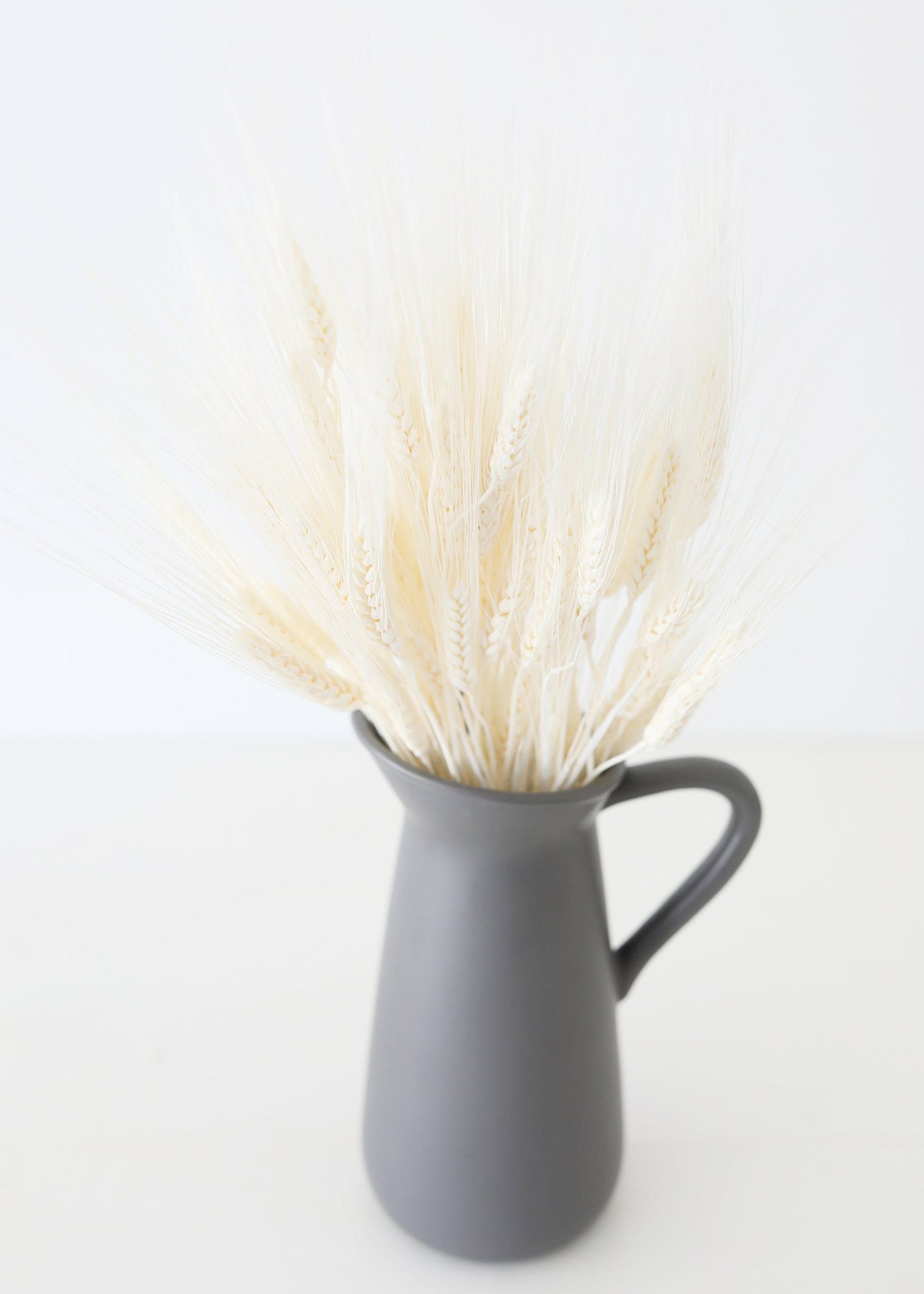 Bleached Natural Triticum Wheat - 8 oz Bunch