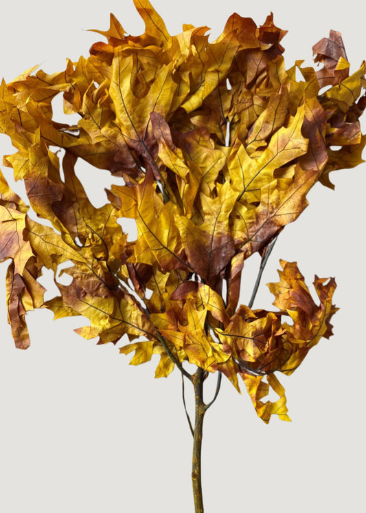 Preserved Fall Oak Leaves in Autumn Brown Hues - 1 lb - 22" Long