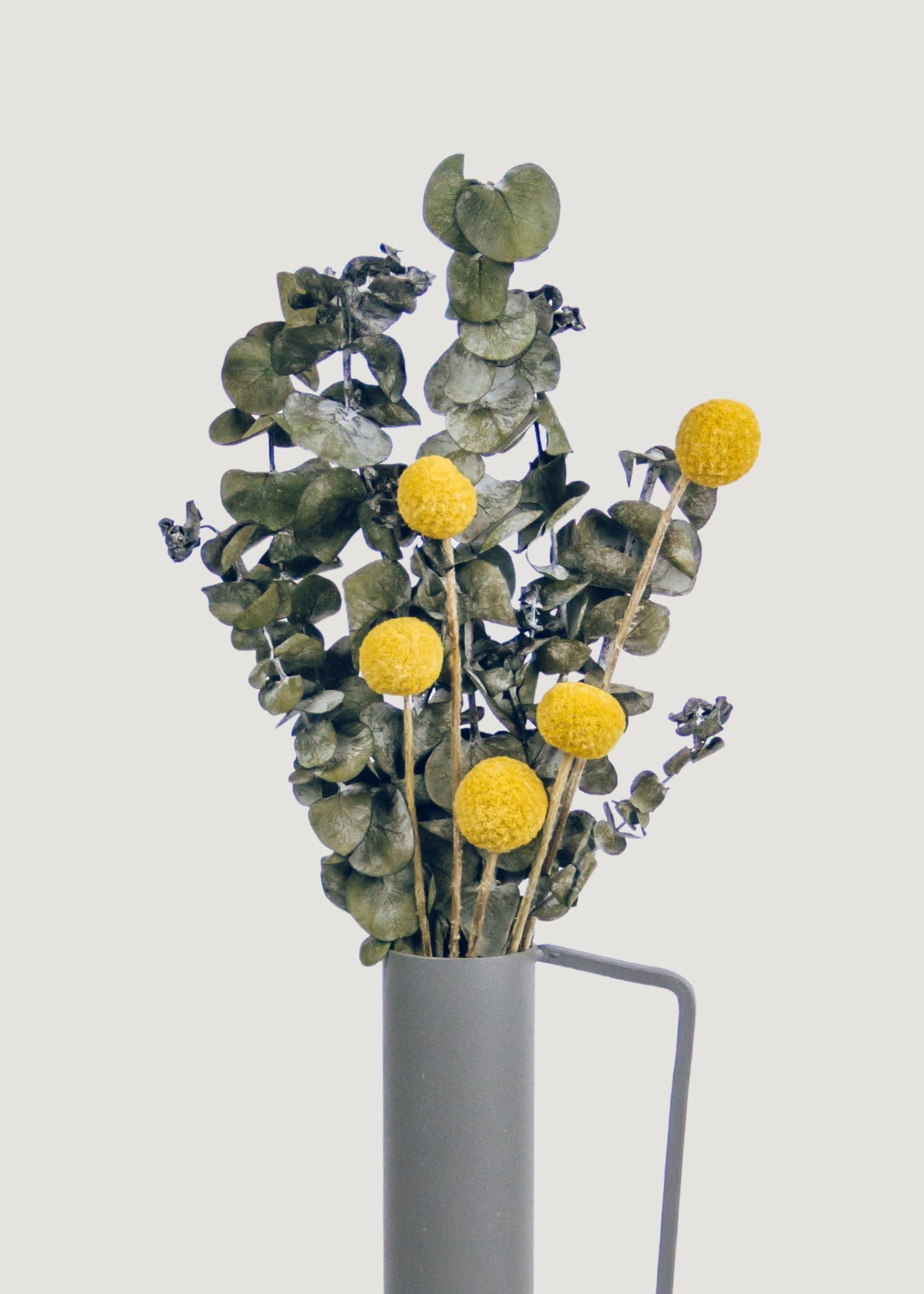 Bundle of 10 Dried Yellow Craspedia Billy Button Flowers - 22"