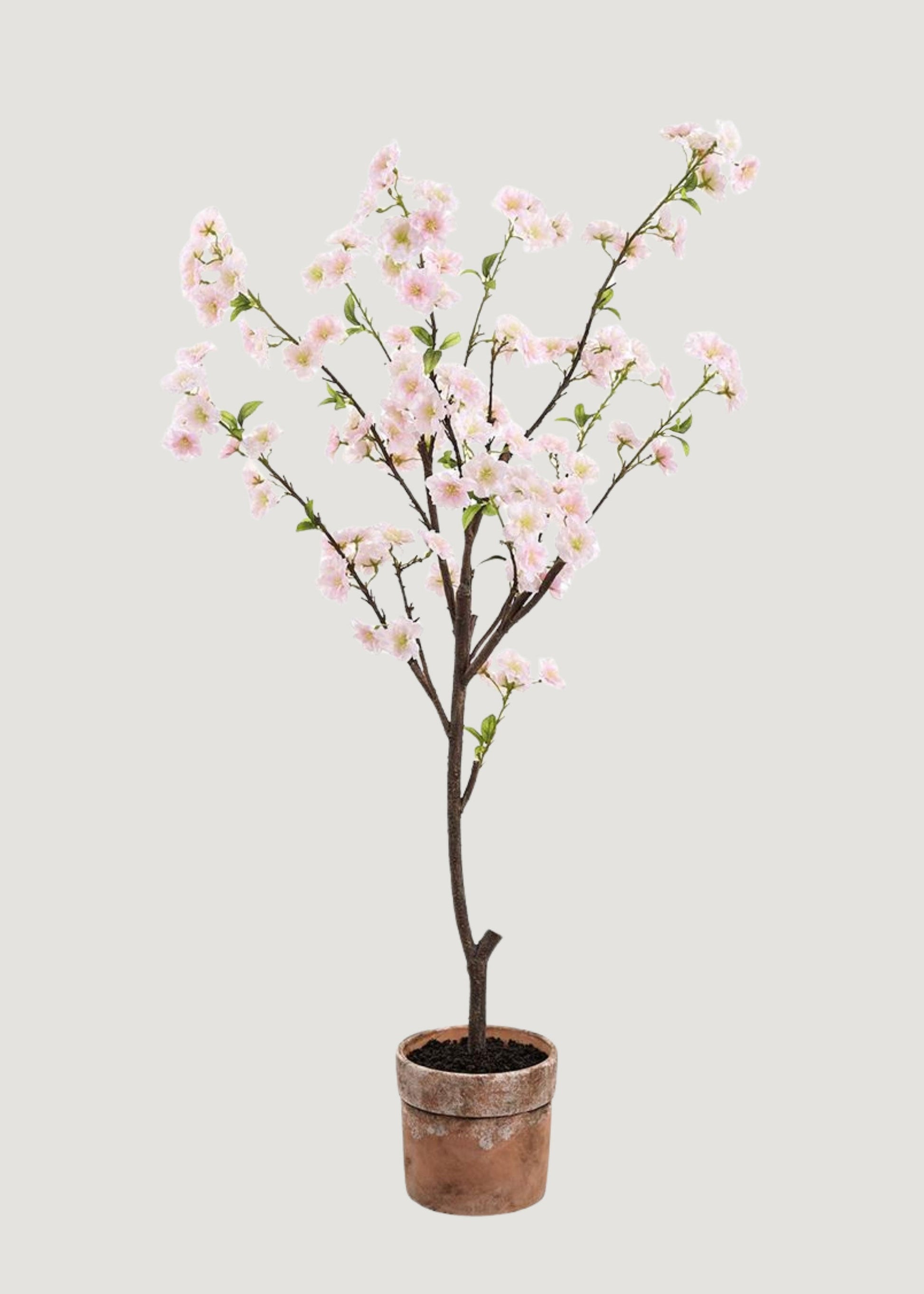 Blush Artificial Cherry Blossom Arrangement in Clay Pot - 49"